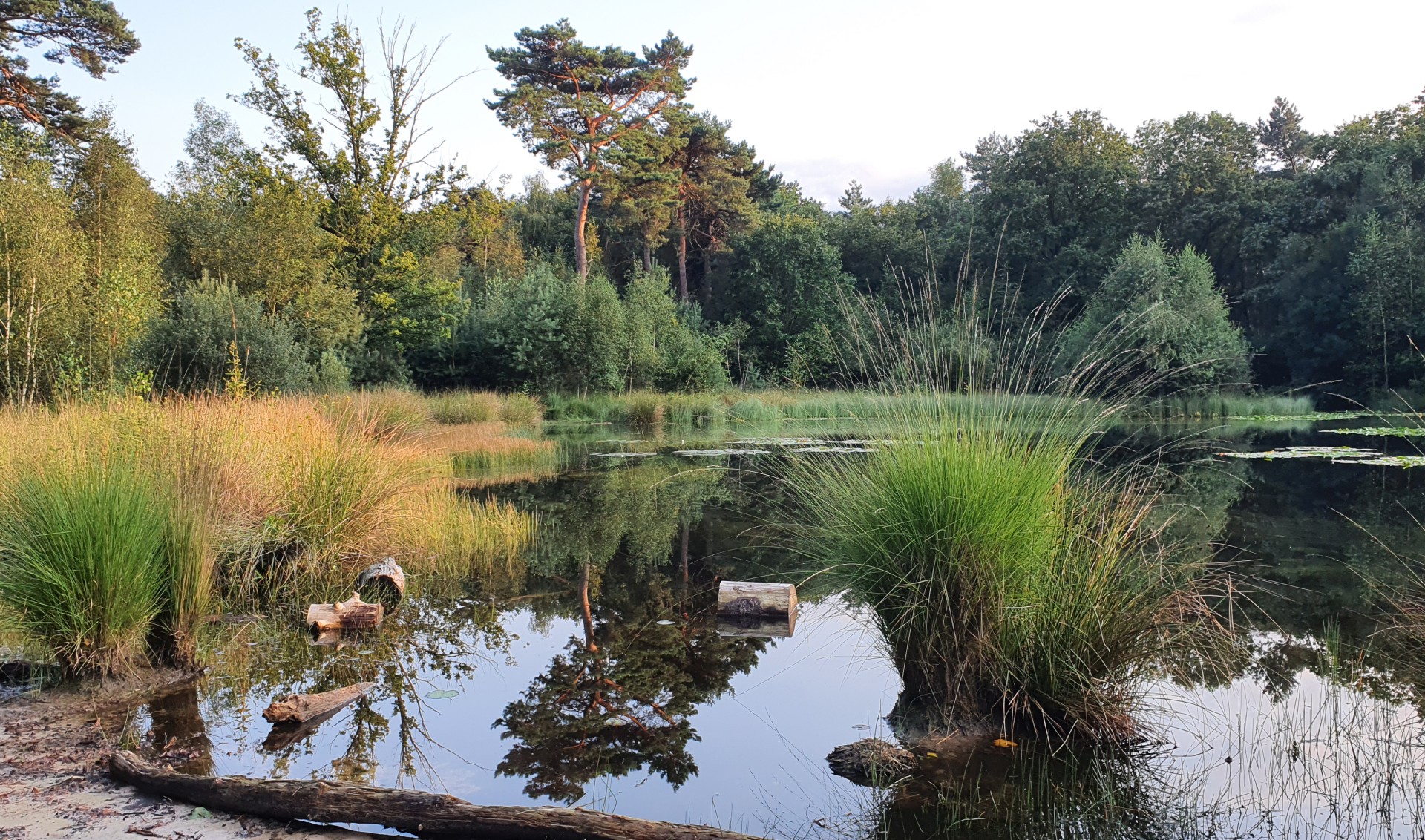 Foto van de maand – uitslag april, verkiezing mei