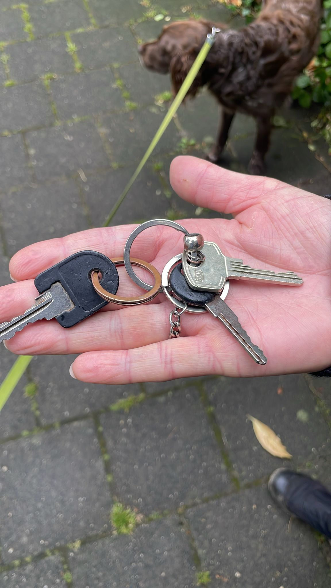 Sleutels gevonden in de Verzetsheldenlaan