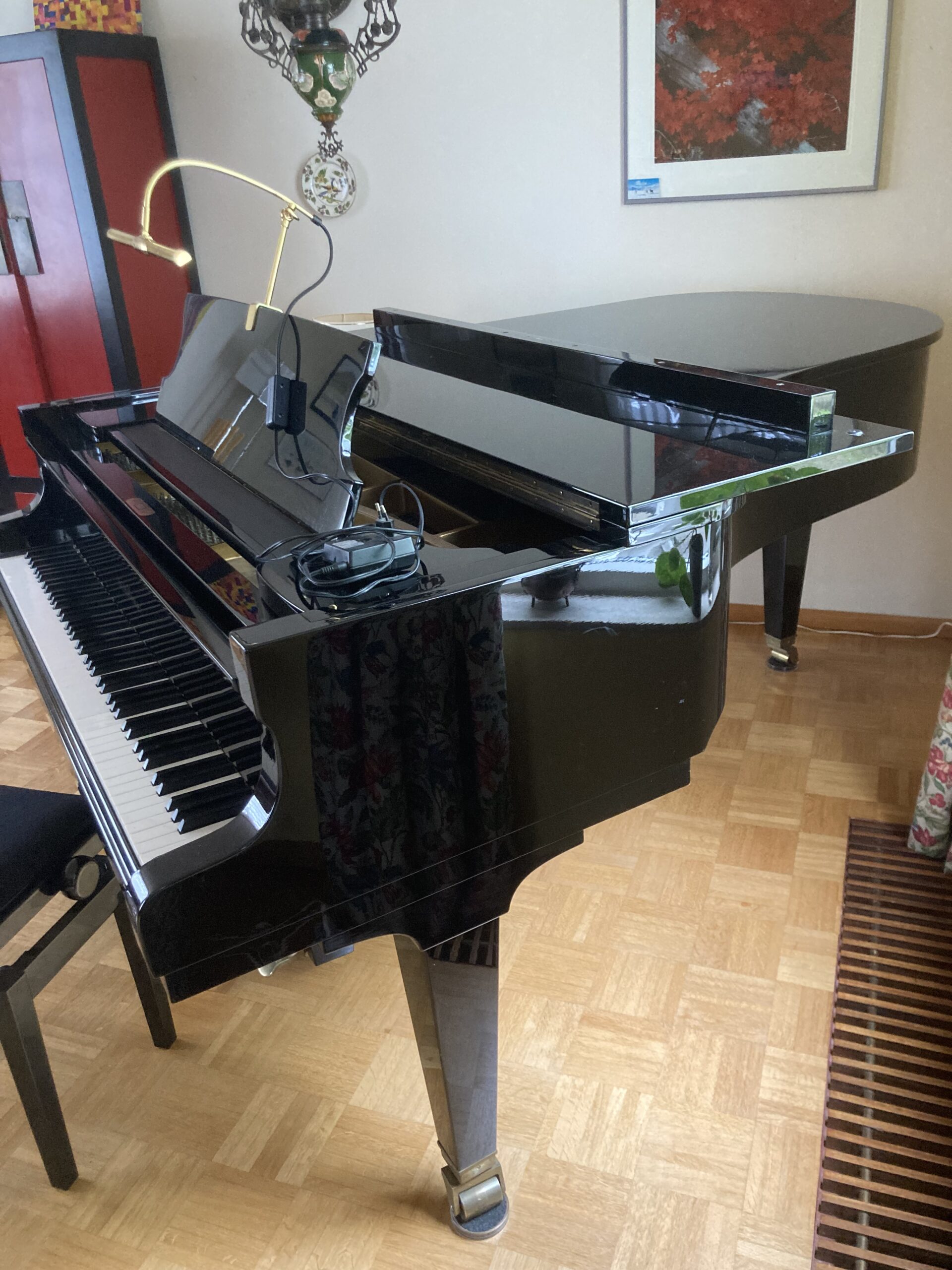 Goed tehuis gezocht voor vleugel