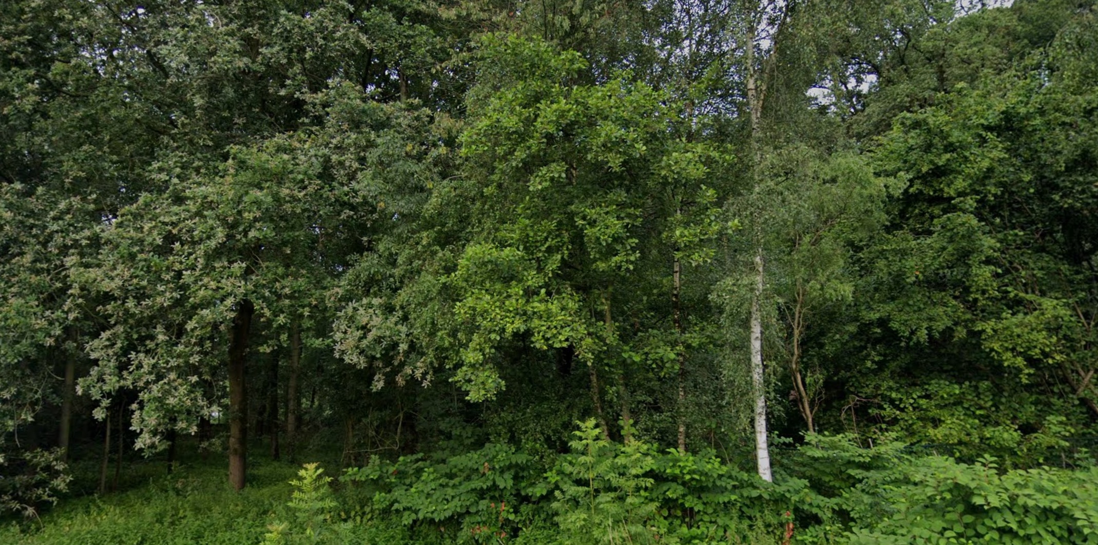 Boscafé – Landgoed De Grote Beek