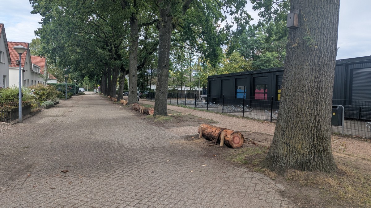 Extra bomen in Acht
